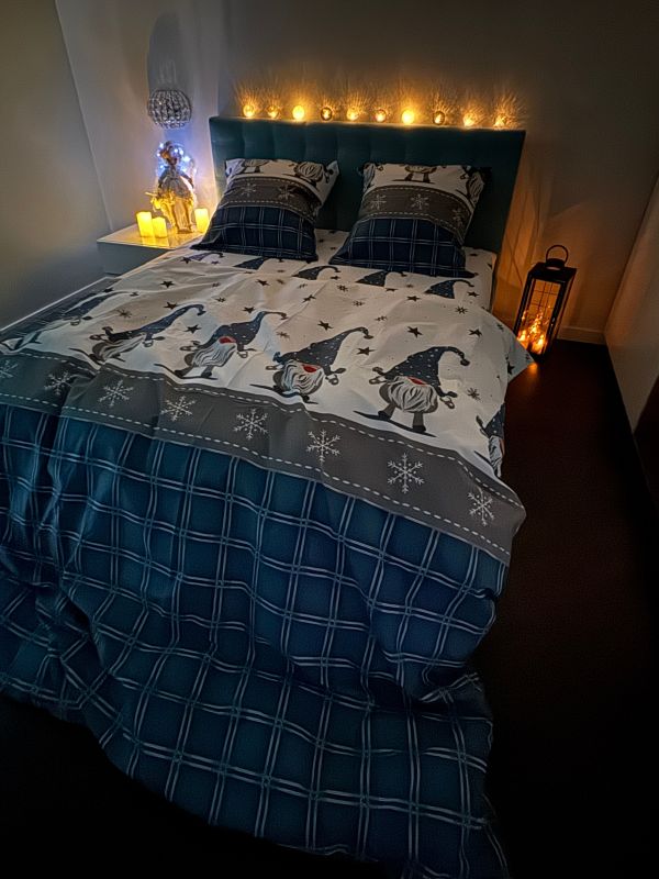 Комплект постільної білизни Snowy Dreams