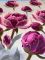 Комплект постільної білизни з ранфорсу Velvet Peony