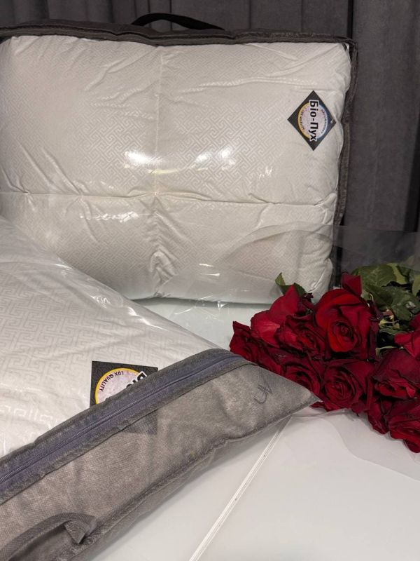 Зимова ковдра
